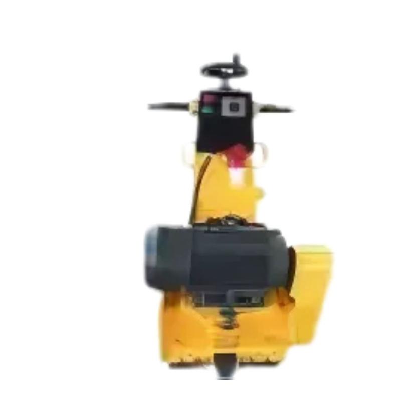 Royal GT250 Scarifier