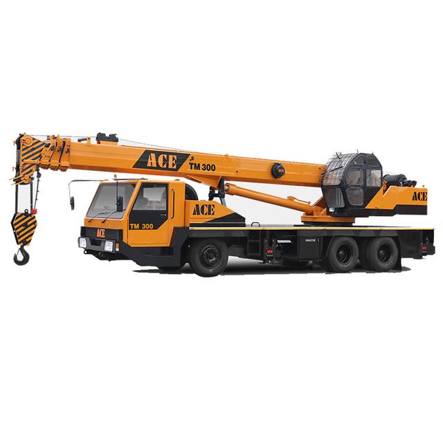 ACE TM 300 Truck Crane