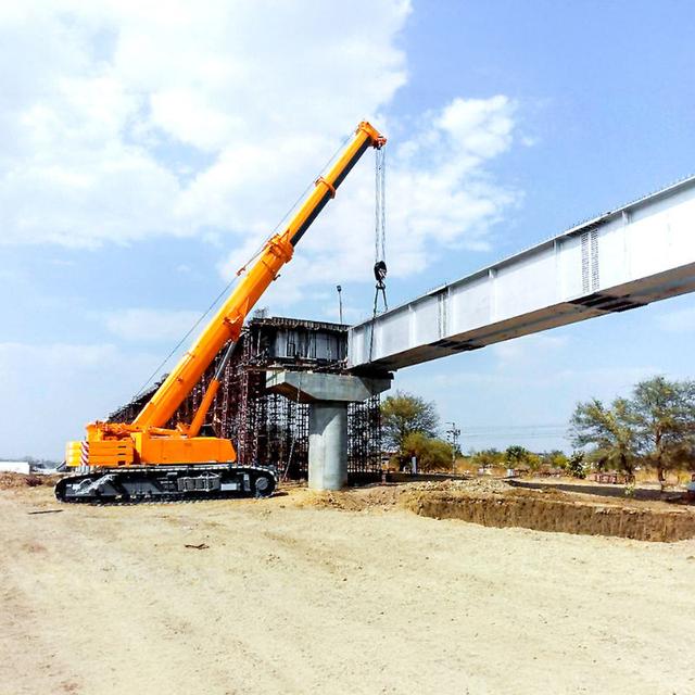 Telescopic Boom Crawler Crane